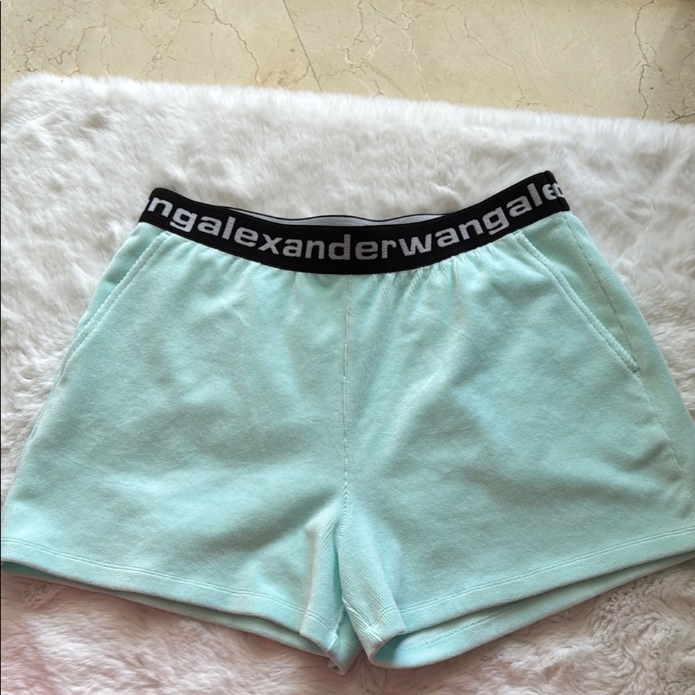 Alexander Wang Mint Green Shorts